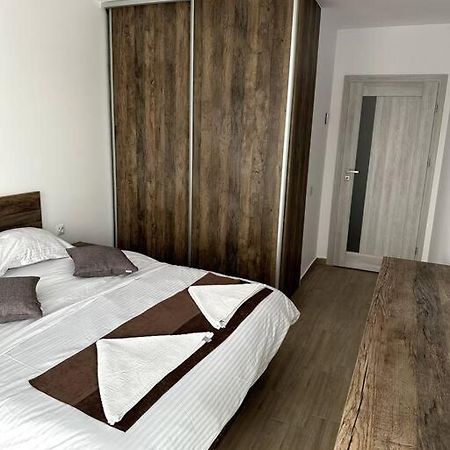 Central River Apartment Клуж-Напока Екстериор снимка