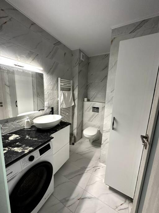 Central River Apartment Клуж-Напока Екстериор снимка