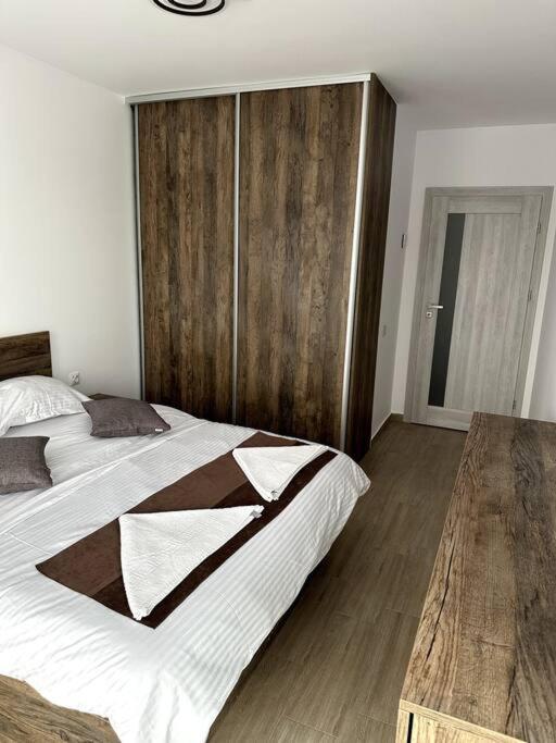 Central River Apartment Клуж-Напока Екстериор снимка